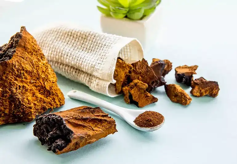 What is Organic Chaga Mushroom?